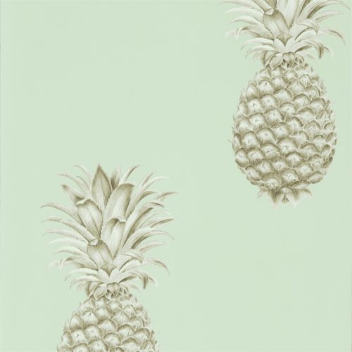 Pineapple Royale 216325